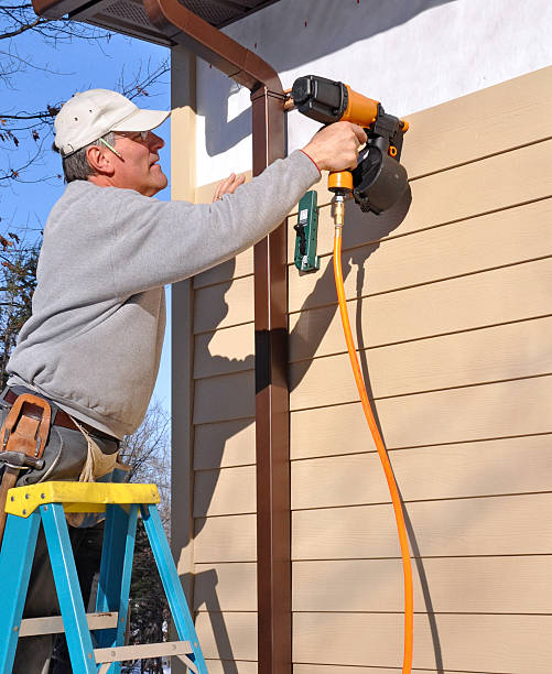 Best Vinyl Siding Installation  in Fenton, MI